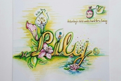 Baby Names - Lily - Personalised Details